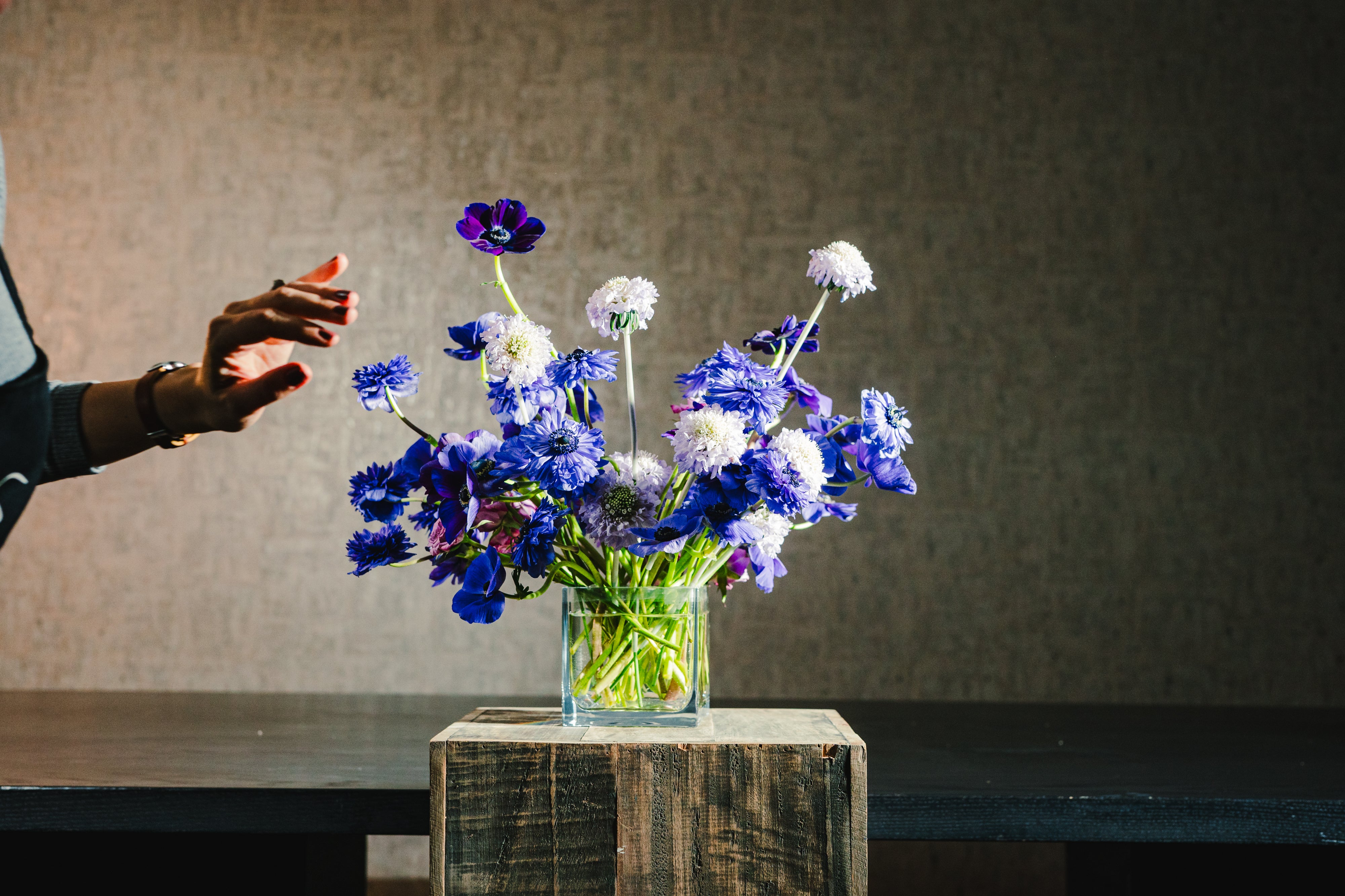 Botanical 4.75