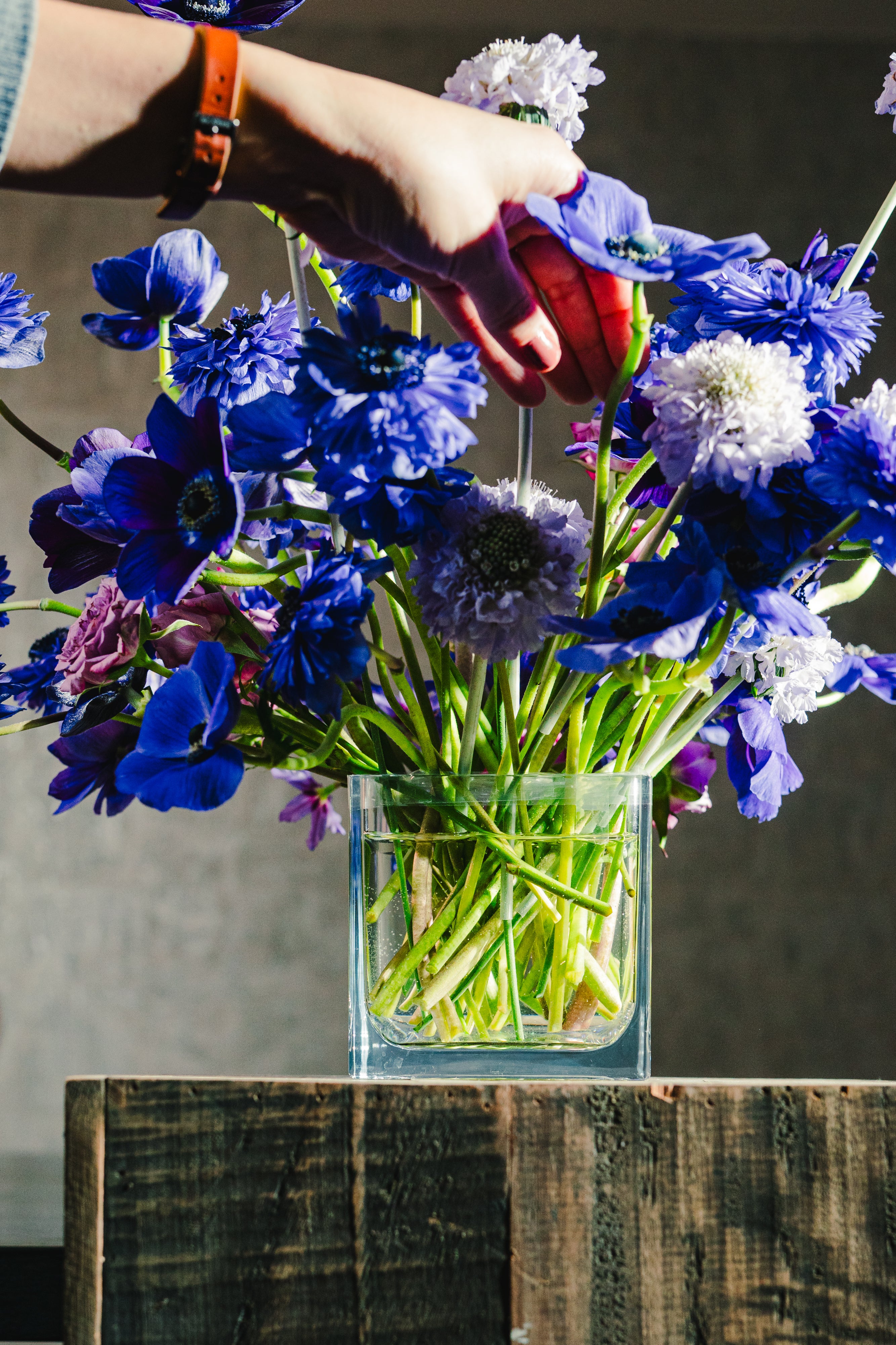 Botanical 4.75