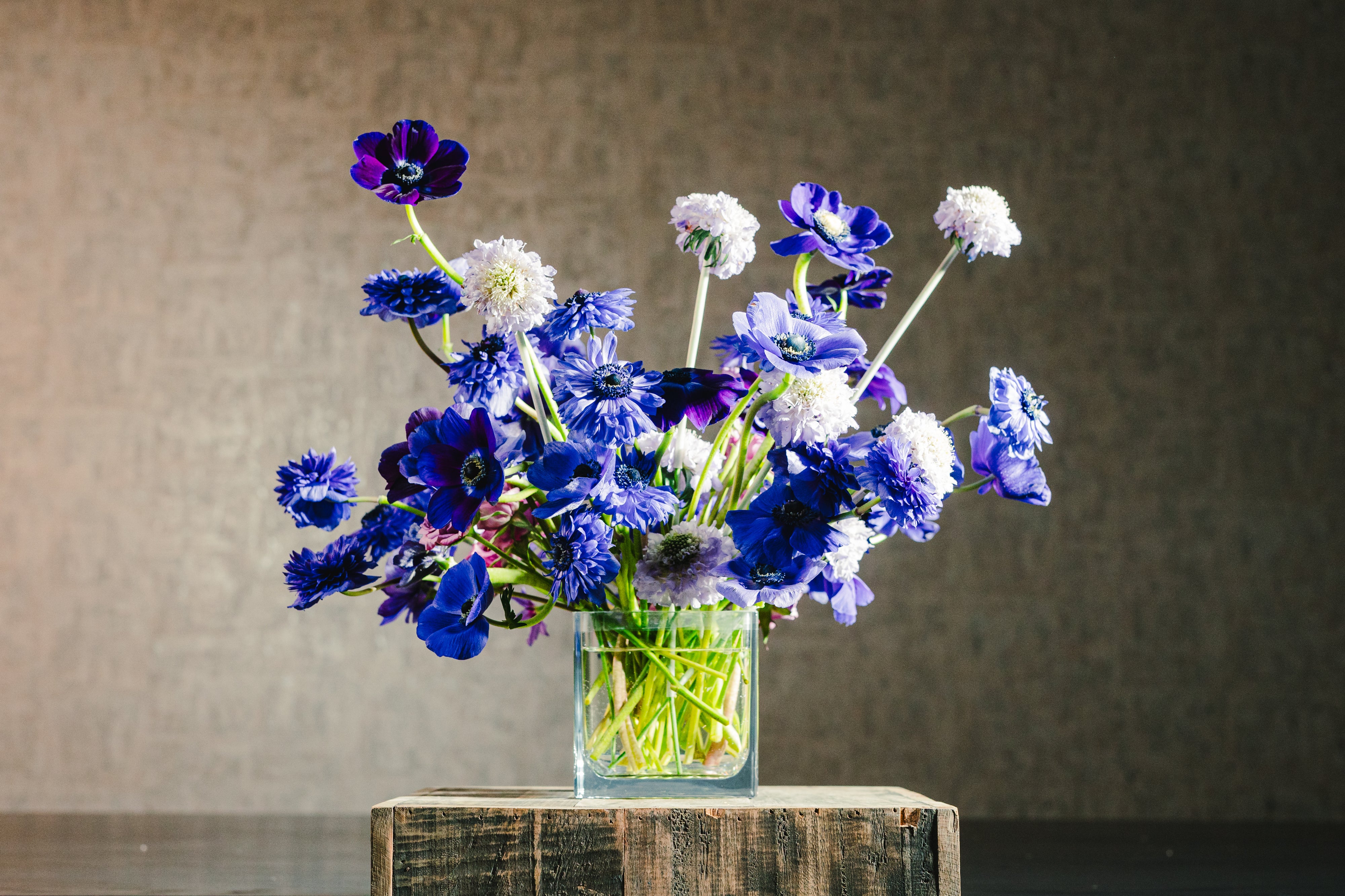 Botanical 4.75