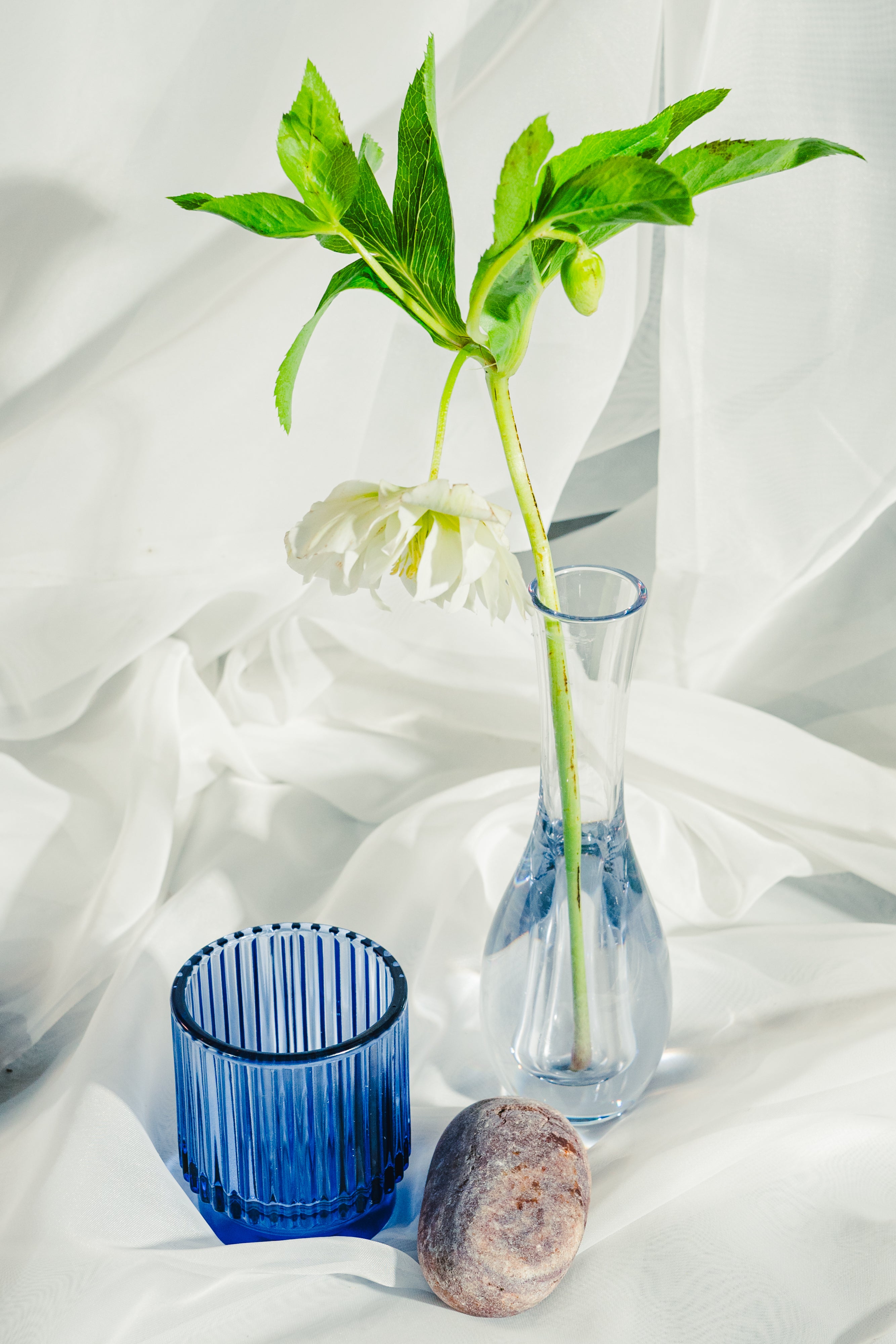 Oasis 7" Bud Vase